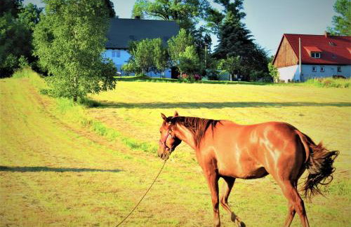 Maja Pokoje z Widokiem - Foto 37