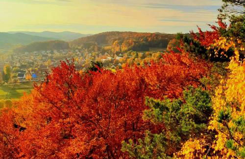 Ferienwohnung Peuker - Foto 24