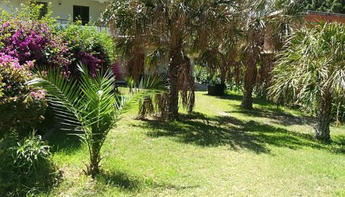 Villa Calipso - Foto 3, Garden, Garden view