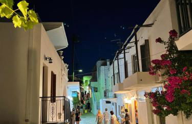 Amerissas studios 1 - Photo 73