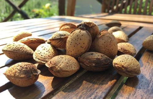 La Collina Degli Ulivi - Foto 54