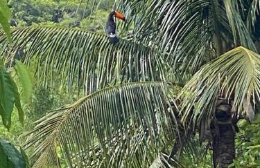 Pedacinho do Céu - Foto 15