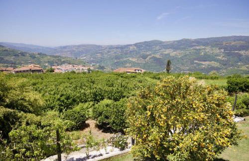 Quinta de CasalMato - Foto 57