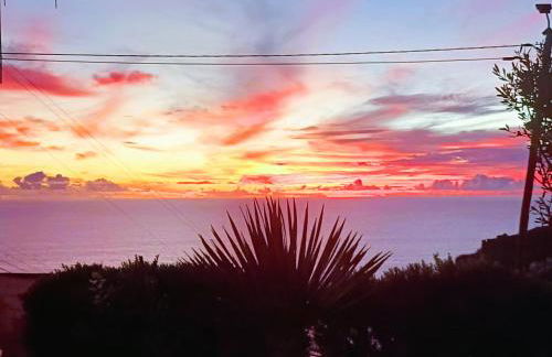 Gertrudes Dream House - Foto 33