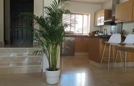 Casa Los Olivos - Foto 17