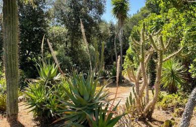 Villa Marinella - Foto 55