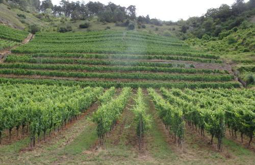 Fewoimdorf - Foto 19