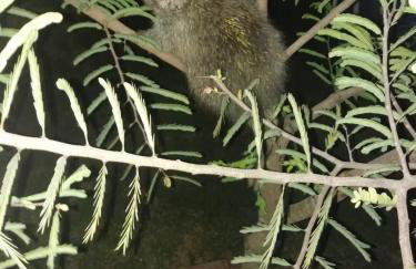 Casinha Charmosa & Rústica - Foto 14