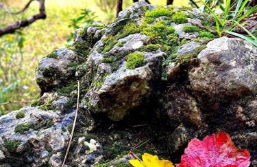 Casa Rural Campanilla - Foto 37