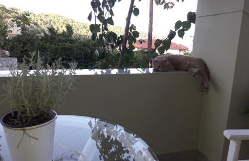 Spiti Portokali - Photo 22