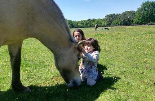 eco nature, gite à la ferme - Foto 18