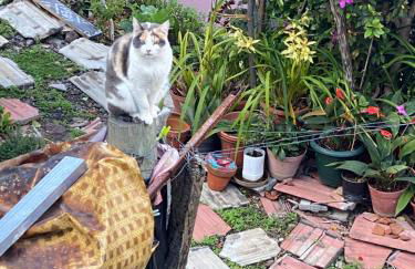 Lovely newly refurbished, 1 bedroom top floor apartment with sea views, fast WI-FI CABLE TV and Netflix - Foto 32