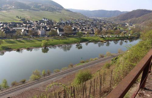 Ferienwohnungen Am Bruttiger Moselsteig - Foto 76