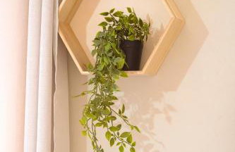 Katherine's apartment - Foto 19