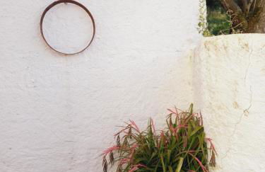 Casa da Póvoa - Foto 65