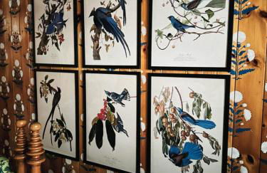 Lakefront Adirondack Cabin - Dock - Canoe - 10 min to Lake Placid - Photo 36