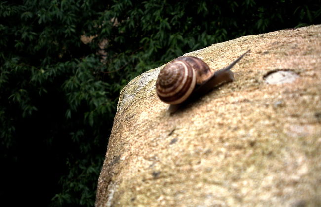 Casa del Geco - Foto 54