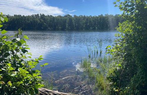 Ostseeperle - Pool, Sauna, 2 Bikes - Foto 33