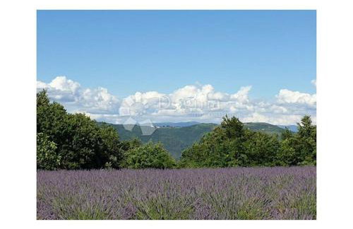 Villa Vinoselo Comfortable holiday residence - Foto 39