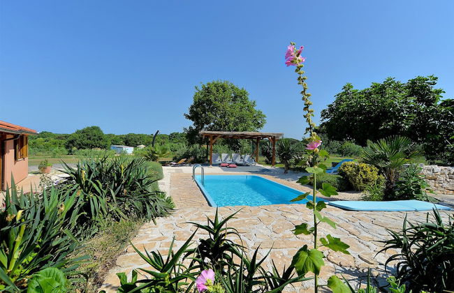 House 1926 - Photo 34