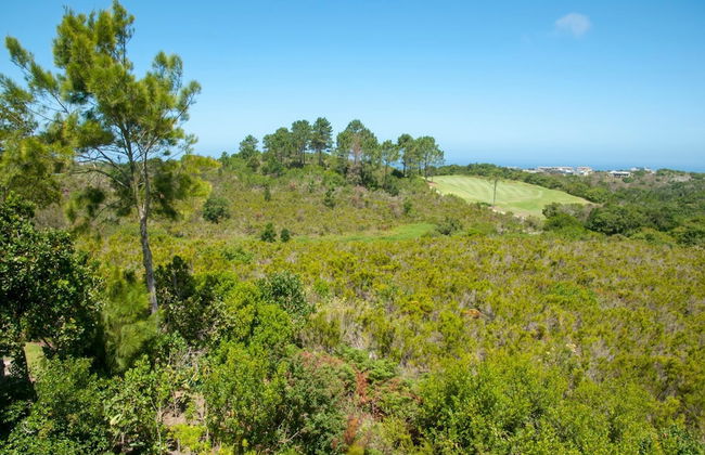 8 Sheerline - Foto 21