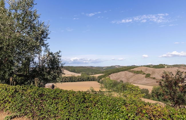 360 Degree View of the Tuscan - Foto 32