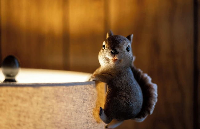 Come Snuggle Up at Cozy Bear Cabin! - Foto 28