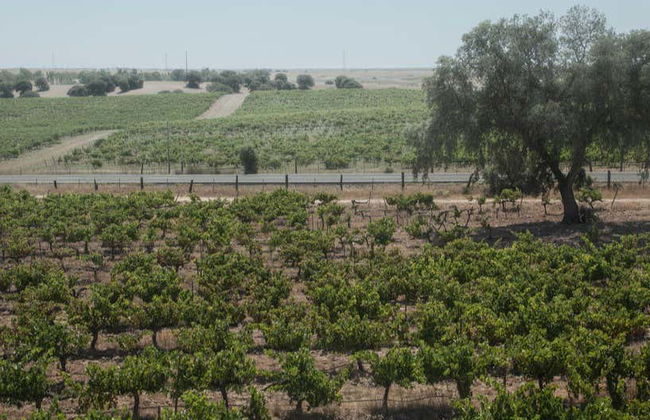 Visita a la bodega Hacienda Villarta - Foto 5