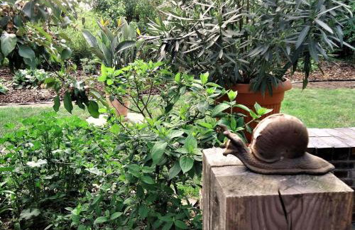 Apartment in ruhiger Lage am Waldrand by Interhome - Photo 17