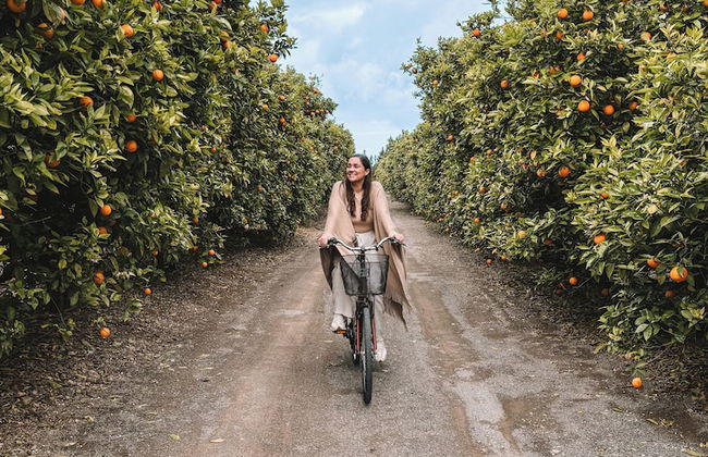 Quinta dos Perfumes - Photo 50