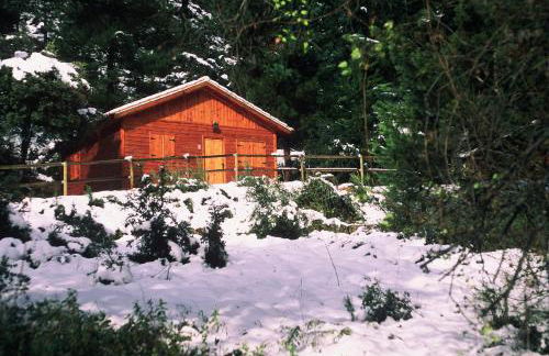 Cabañas La Toma del Agua - Foto 9