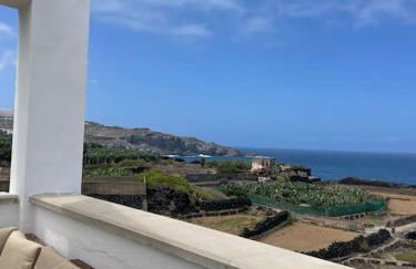 Musa Paradisiaca - Foto 24