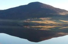 Shifty Chicken Shack - Foto 15