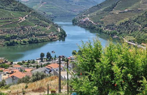 Quinta da Galeira - Foto 39