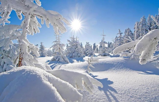 Beautiful Apartment in a Spa Resort, Only 2,5 km From the Jáchymov Chairlift - Keilberg - Photo 15