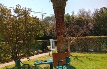 villetta le palme - Foto 2