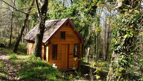 Associação Quinta das Relvas - Foto 3, Garden view