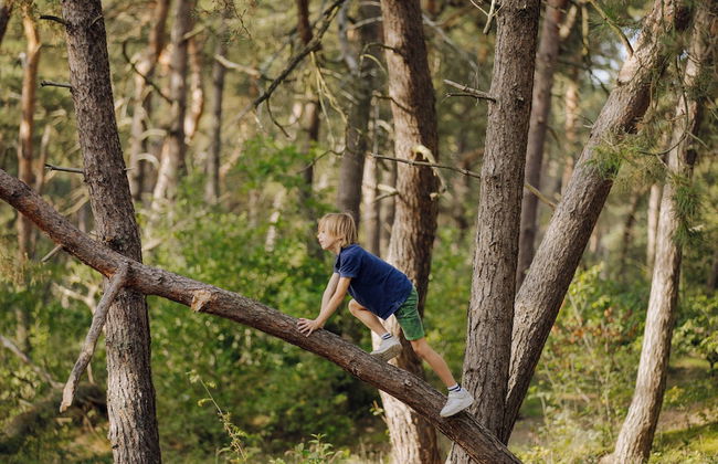 Center Parcs De Vossemeren - Foto 74