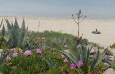 APARTMENT TSAIRA - Photo 40