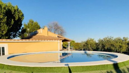 Casa Rural Tablas de Daimiel - Foto 3, Garden, Garden view