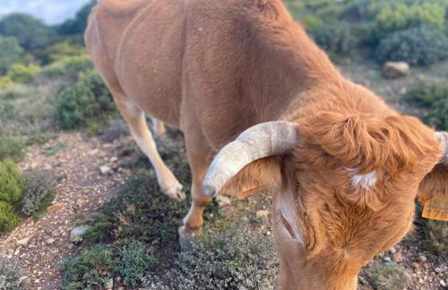 Smart Apartments Facinas - Foto 36