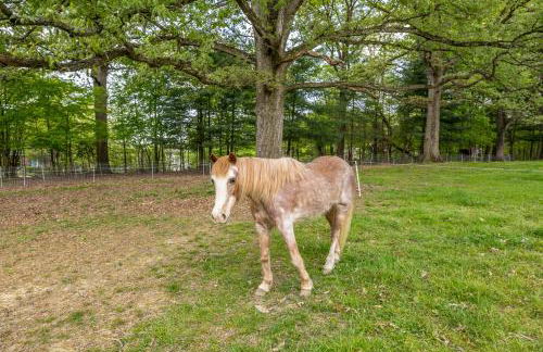 Watch Deer from a Farm Cottage - Foto 50