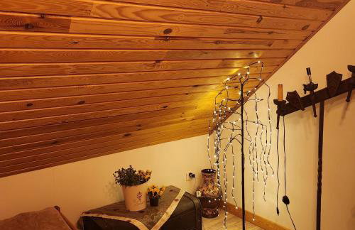 Siedlisko Magnolia - Foto 41