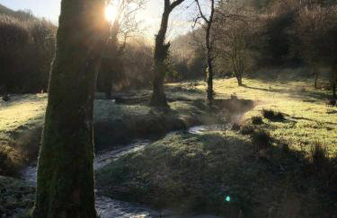 Penrhiw Cottage - Foto 17