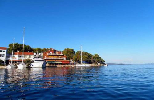 Jungle & Sea Boxavia - Foto 13