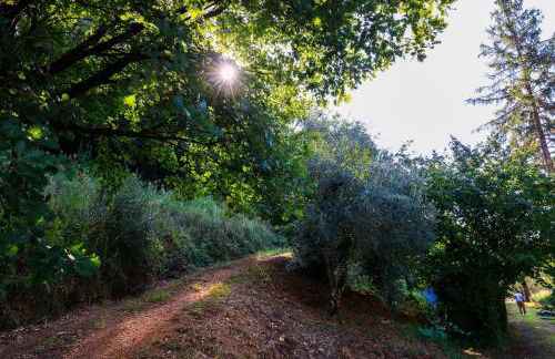 AGRITURISMO TERRA VOLONTERI - Foto 24