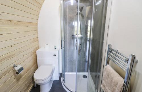 Ailsa Craig - Photo 15