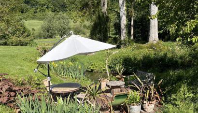 Château D'harcelaines - Foto 4, Garden