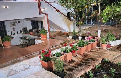 Villa Aura - Thymari - Foto 28