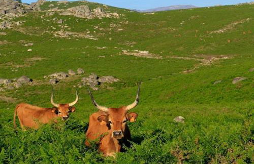 Casa do Charco Peneda Gerês - Foto 36